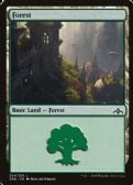 Guilds of Ravnica -  Forest