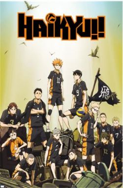 HAIKYU!! -  TEAM POSTER (22