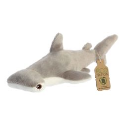 HAMMERHEAD SHARK (8