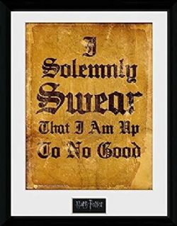 HARRY POTTER -  FRAME I SOLEMNLY SWEAR 30X40