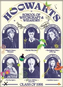 HARRY POTTER -  ''HOGWARTS YEARBOOK'' MAGNET