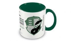 HARRY POTTER -  SLYTHERIN HOUSE PRIDE (11 OZ) -  CERAMIC MUG