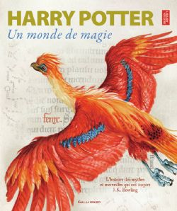 HARRY POTTER -  UN MONDE DE MAGIE (FRENCH V.)