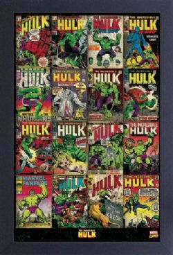 HULK -  COVERS FRAMED PICTURE (13