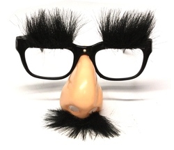 HUMORISTIC -  GLASSES WITH NOSE AND MUSTACHE