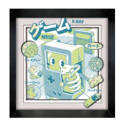 ILLUSTRATA -  GAME ANATOMY - FRAMED PICTURE (WHITE) (12