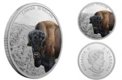 IMPOSING ICONS -  BISON -  2021 CANADIAN COINS 04