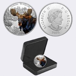 IMPOSING ICONS -  MOOSE -  2020 CANADIAN COINS 02