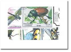 INSECTS -  25 ASSORTED STAMPS - INSECTS