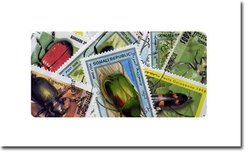 INSECTS -  50 ASSORTED STAMPS -  INSECTS