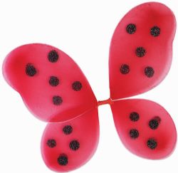 INSECTS -  LADYBUG WINGS (CHILD)