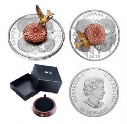 INTERACTIVE DESIGN COINS -  THE HUMMINGBIRD AND THE BLOOM -  2020 CANADIAN COINS 04
