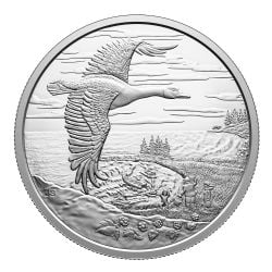 INTERCONNECTED NATURE -  2025 CANADIAN COINS