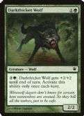 Innistrad -  Darkthicket Wolf