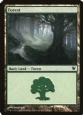 Innistrad -  Forest