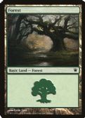 Innistrad -  Forest