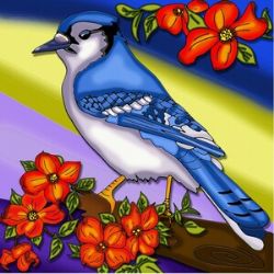 JACAROU DIAMONDS -  BLUE JAY (12