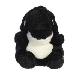JUNEAU ORCA (5