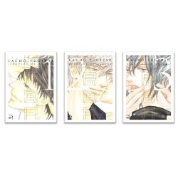 KACHÔ FÛGETSU: BEAUTIES OF NATURE -  PACK TOMES 1 À 3 (FRENCH V.)