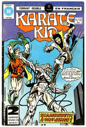 KARATE KID -  ÉDITION 1978 11/12