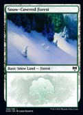 Kaldheim -  Snow-Covered Forest