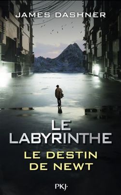 L'ÉPREUVE -  LE DESTIN DE NEWT (GRAND FORMAT) SC -  LE LABYRINTHE 06