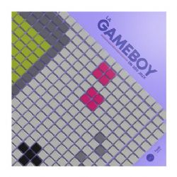 LA GAMEBOY EN 350 JEUX -  (FRENCH V.)