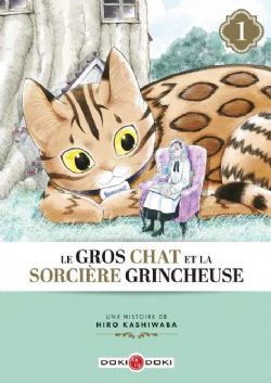 LE GROS CHAT ET LA SORCIÈRE GRINCHEUSE -  (FRENCH V.) 01