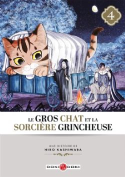 LE GROS CHAT ET LA SORCIÈRE GRINCHEUSE -  (FRENCH V.) 04