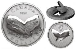 LIFTED ENGRAVING COINS -  FLYING LOON (FROM THE R&D LAB) -  2020 CANADIAN COINS 01
