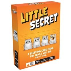 LITTLE SECRET  (ENGLISH)