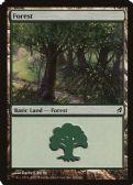 Lorwyn -  Forest