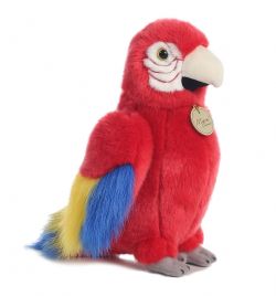 MACAW PARROT (11