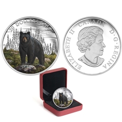 MAJESTIC ANIMALS (2016) -  THE BOLD BLACK BEAR -  2017 CANADIAN COINS 05