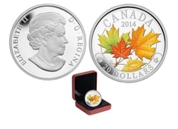 MAJESTIC MAPLE LEAVES -  MAJESTIC MAPLE LEAVES WITH COLOUR -  2014 CANADIAN COINS 02