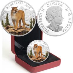 MAJESTIC WILDLIFE -  COURAGEOUS COUGAR -  2018 CANADIAN COINS 01