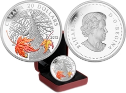 MAPLE CANOPY (2013-2014) -  AUTUMN'S MAPLE -  2013 CANADIAN COINS 02