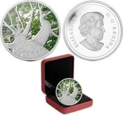 MAPLE CANOPY (2013-2014) -  SPRING'S MAPLE -  2013 CANADIAN COINS 01