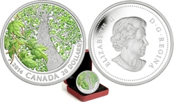 MAPLE CANOPY (2013-2014) -  SPRING SPLENDOUR -  2014 CANADIAN COINS 03