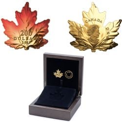 MAPLE LEAVES -  AUTUMN FIRE 02 -  2017 CANADIAN COINS
