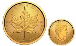 MAPLE LEAVES -  GOLD MAPLE LEAF – W MINT MARK (WINNIPEG) -  2021 CANADIAN COINS 02