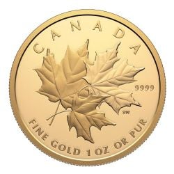 MAPLE LEAVES -  GOLD TRIPLE MAPLE -  2025 CANADIAN COINS 01