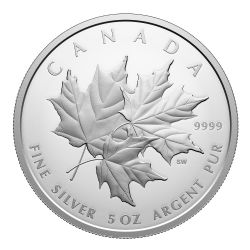 MAPLE LEAVES (LARGE FORMAT) -  TRIPLE MAPLE -  2025 CANADIAN COINS 01