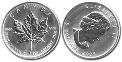 MAPLE LEAVES -  MAPLE LEAF - ONE OUNCE FINE SILVER COIN -  2006 CANADIAN COINS