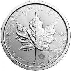 MAPLE LEAVES -  ONE OUNCE FINE SILVER COIN -  2019 CANADIAN COINS