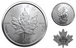 MAPLE LEAVES -  ONE OUNCE FINE SILVER COIN -  2022 CANADIAN COINS