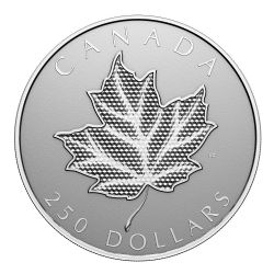 MAPLE LEAVES -  PULSATING MAPLE LEAF -  2024 CANADIAN COINS