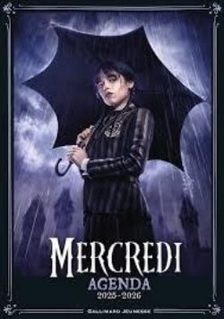 MERCREDI -  AGENDA SCOLAIRE 2025-2026 (FRENCH V.)