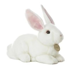 MIYONI - AMERICAN WHITE RABBIT (10