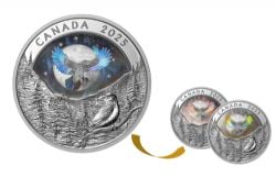MOON SKY -  RAVEN -  2025 CANADIAN COINS 01
